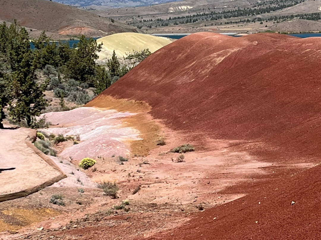John Day Fossil Beds National Monument-John Day必去景点