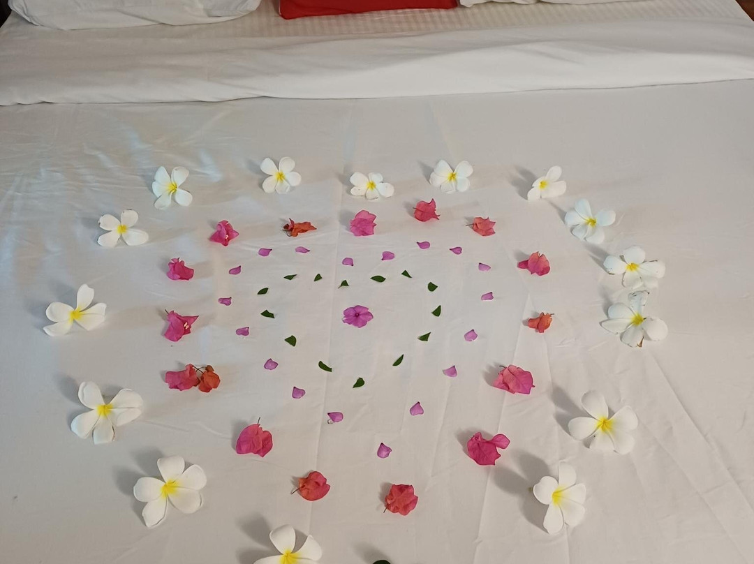 Roman Life Ayurveda Resort主图