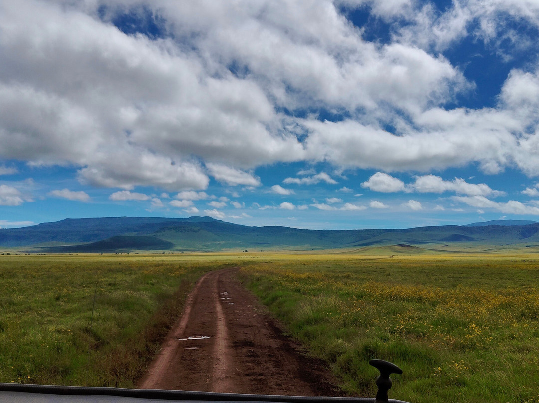 Ngorongoro Crater-恩戈罗恩戈罗保护区必去景点