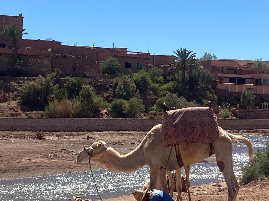Desierto Sahara Trips-马拉喀什必去景点