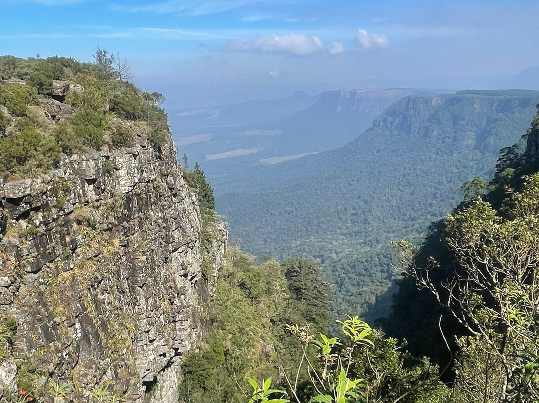 Shinzelle Safaris-雾观必去景点