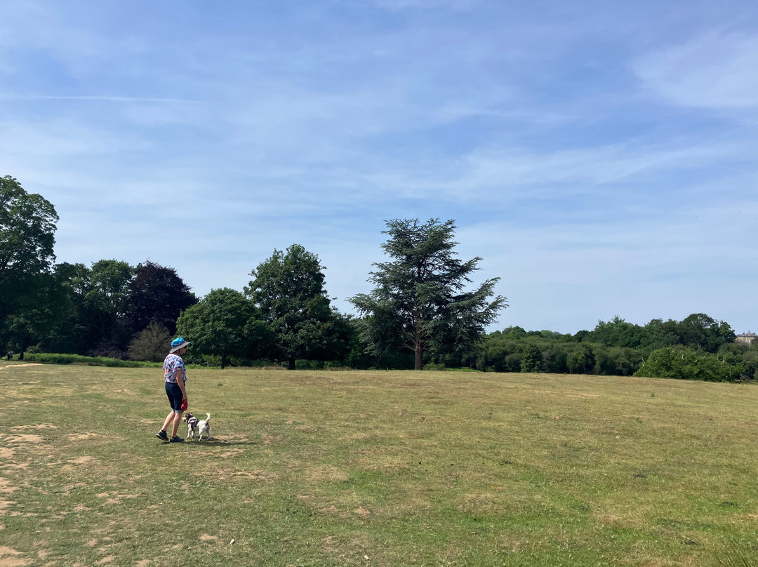 Knole House Estate Walking Trails-Sevenoaks必去景点