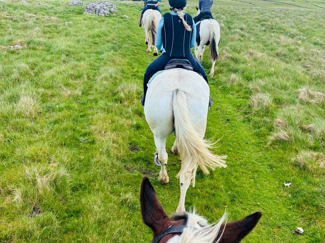 Kilnsey Trekking & Riding Centre-斯基普顿必去景点