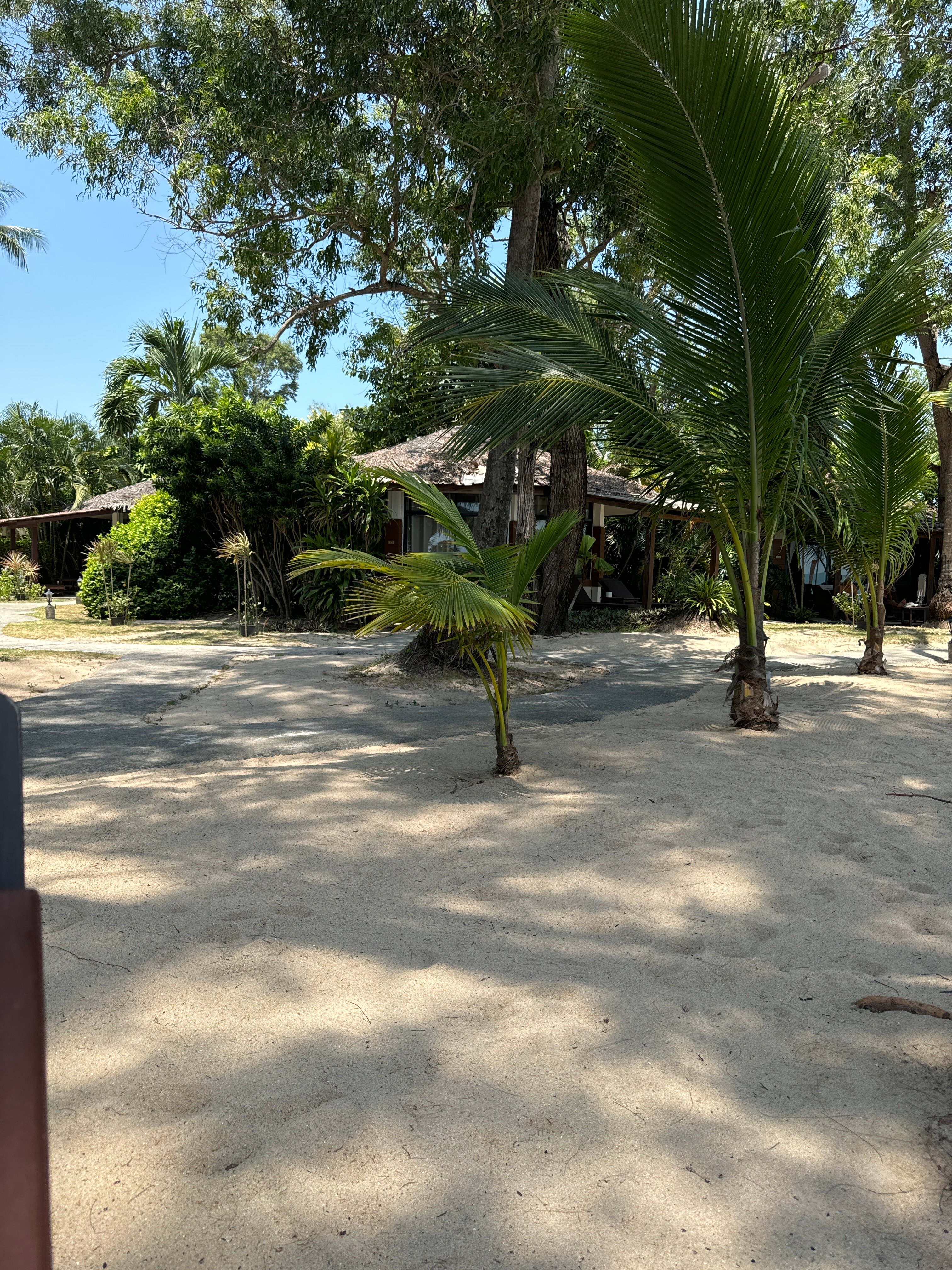 苏梅安那哈塔度假村-旅行者