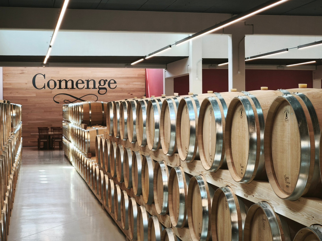Bodegas Comenge-Curiel de Duero必去景点