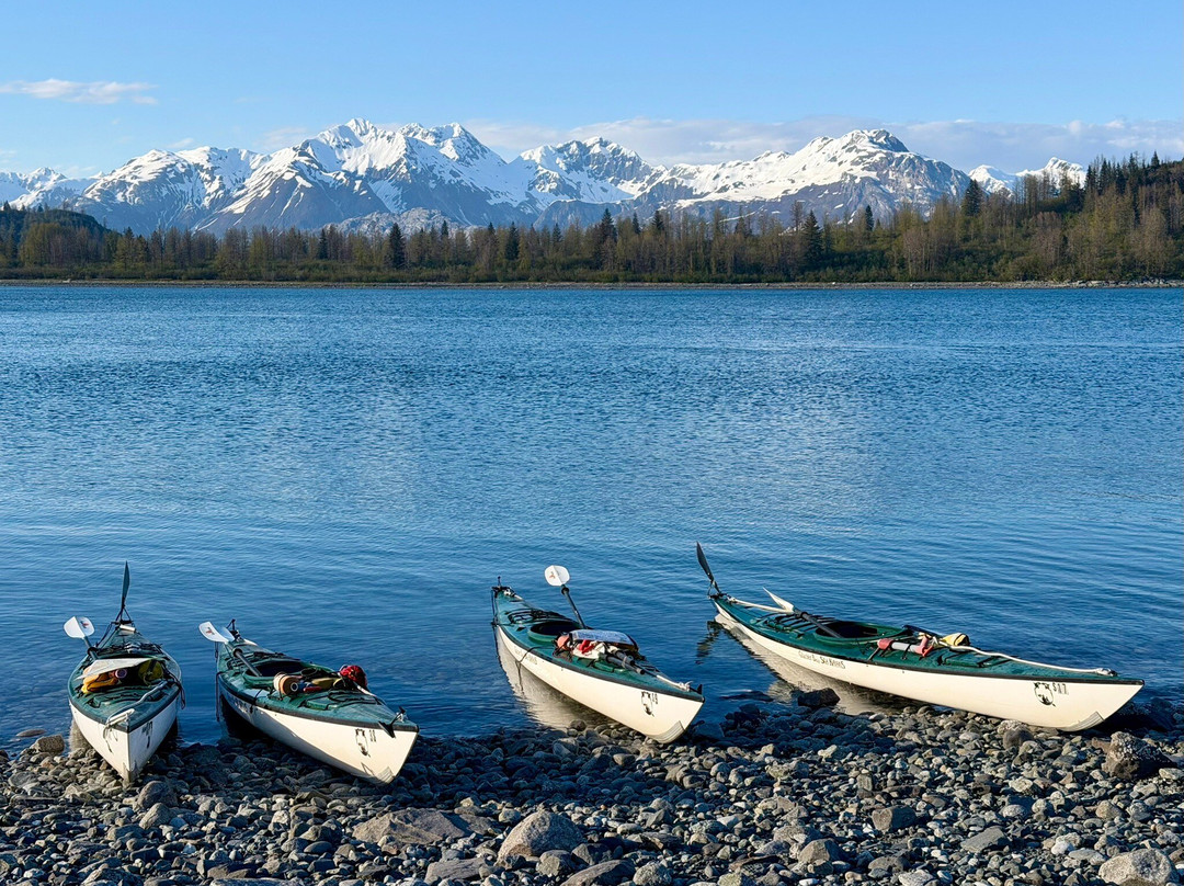 Glacier Bay Sea Kayaks-古斯塔夫斯必去景点
