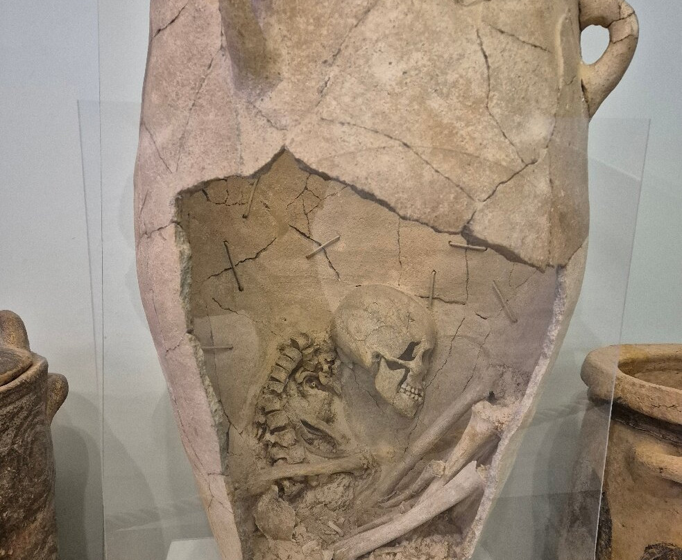 Heraklion Archaeological Museum-伊拉克利翁必去景点