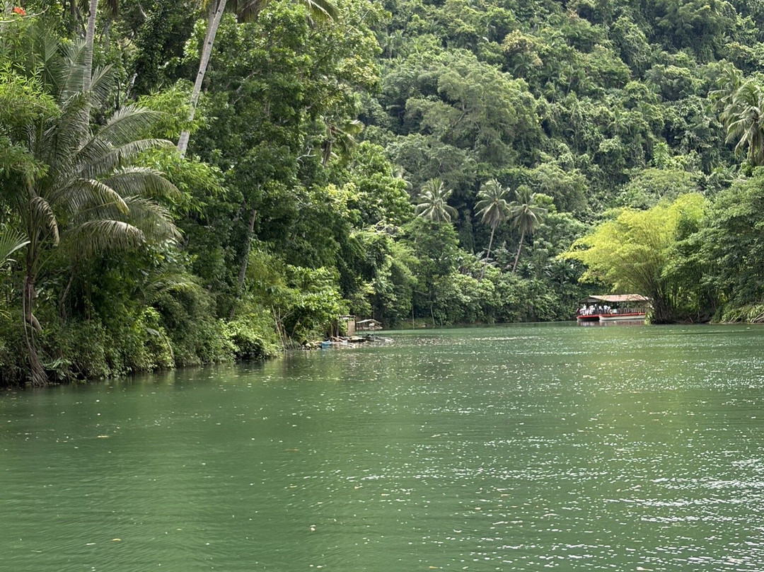 Loboc River Cruise-洛博克必去景点