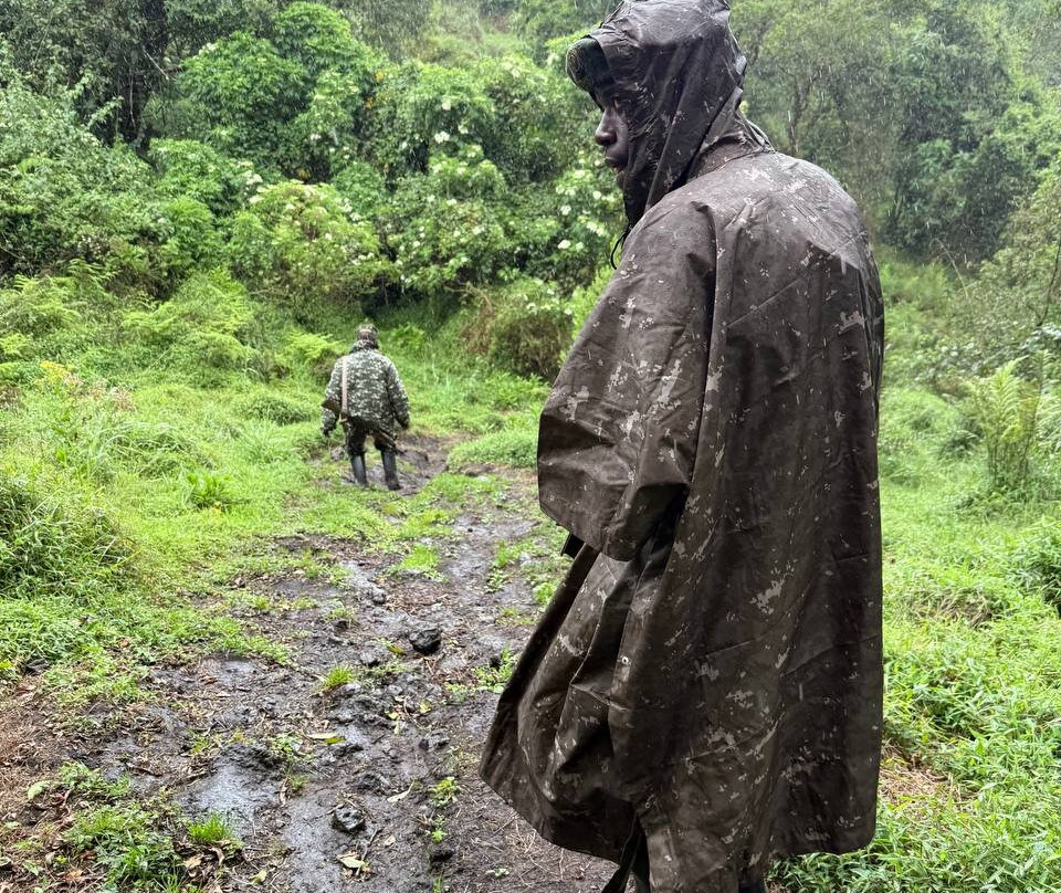 Mgahinga Gorilla National Park-Kisoro必去景点