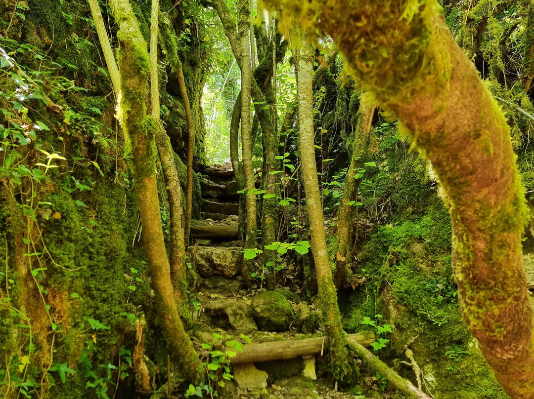 Parc le Theil-Le Caylar必去景点