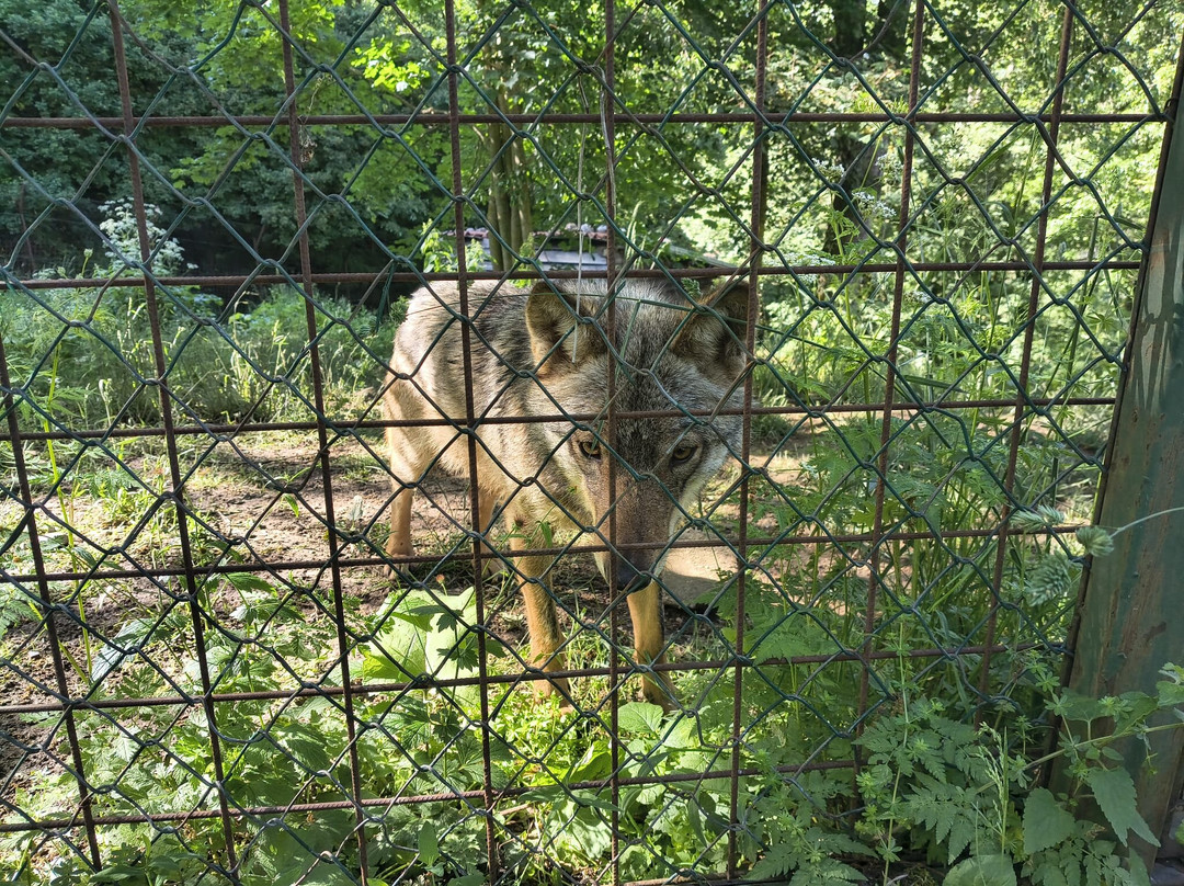 Area Faunistica Lince-Civitella Alfedena必去景点