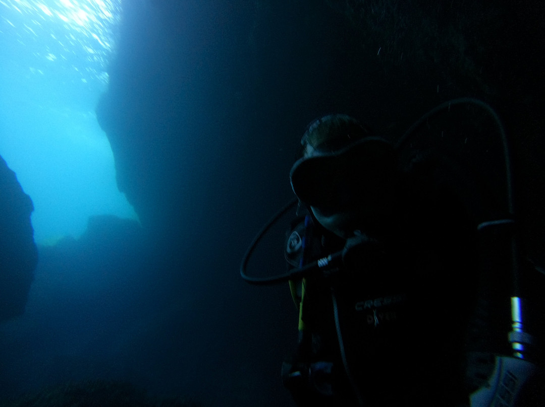Blue Adventures Diving-干尼亚必去景点