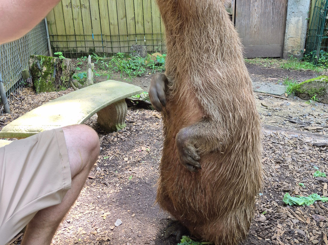 North Georgia Wildlife Park-Cleveland必去景点