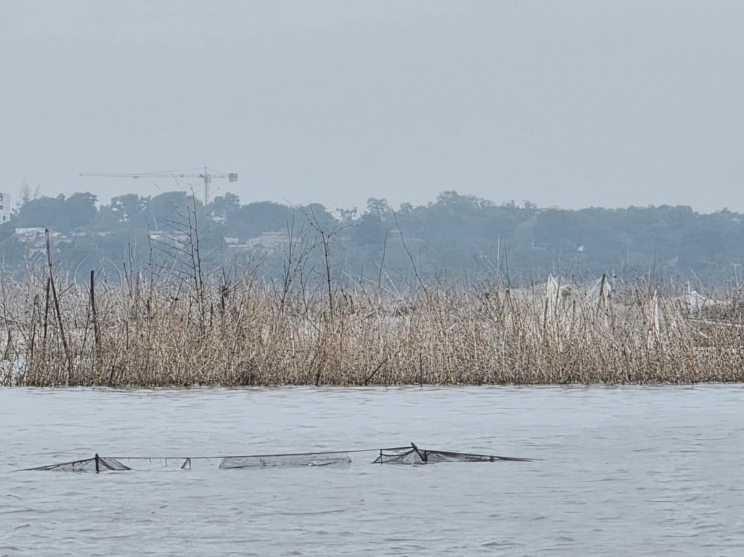 Saturnin Avlessi  Ganvié Charters & Benin Tours-Ganvie必去景点