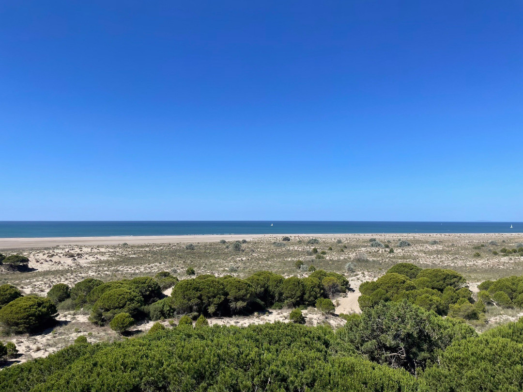 Phare de l'Espiguette-勒格罗迪鲁瓦必去景点