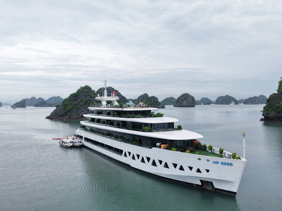 Elite of the Seas-下龙湾必去景点