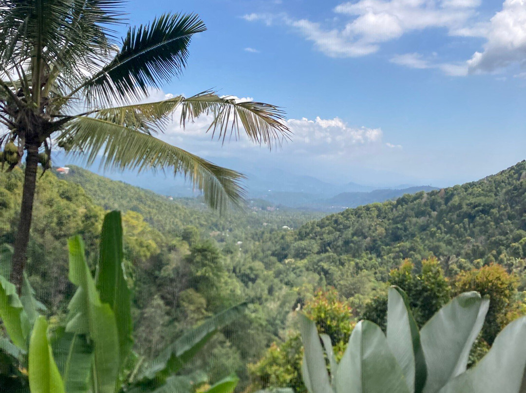 Bali Trekking Experience-新加拉惹必去景点