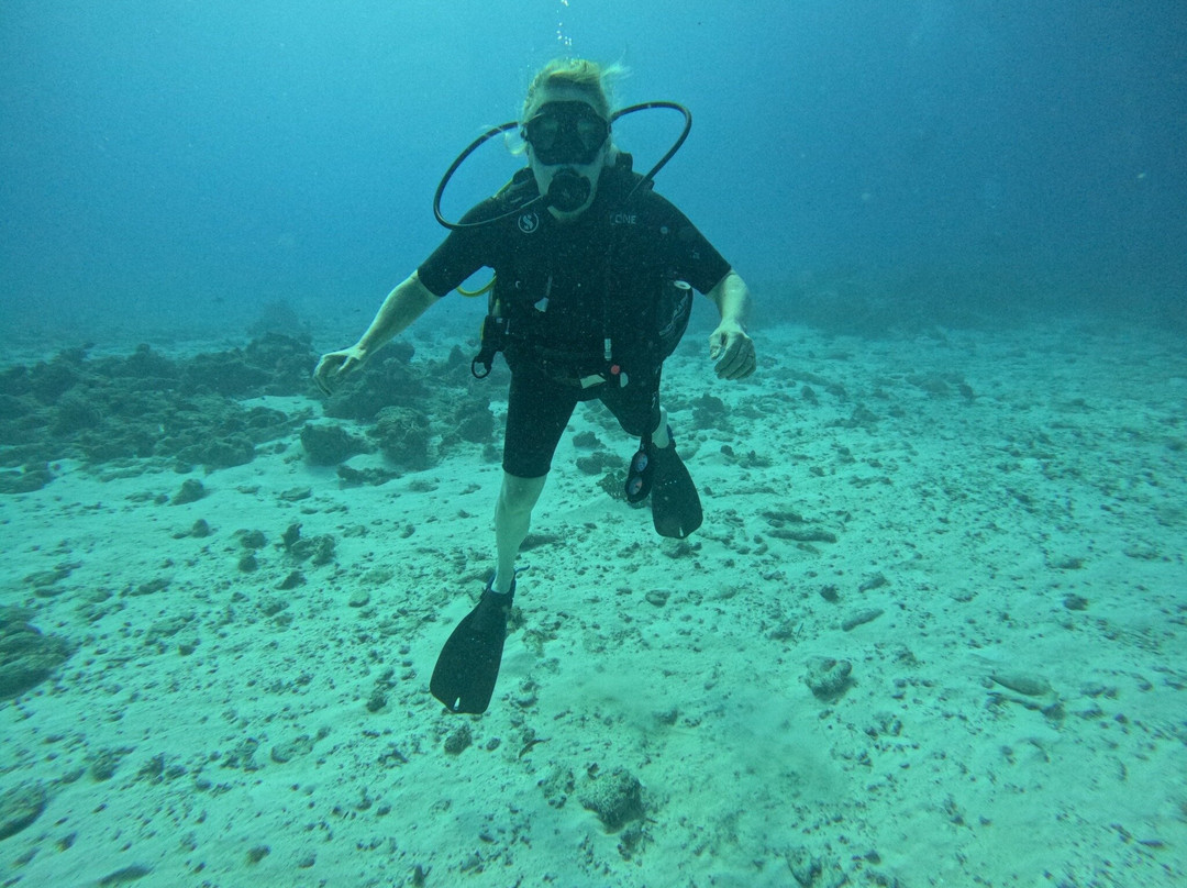 Dive Point Zanzibar-Matemwe必去景点