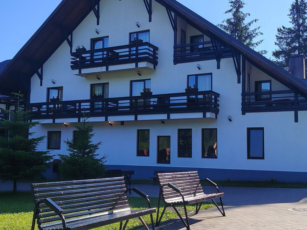 Hotel Ieremia Movila主图