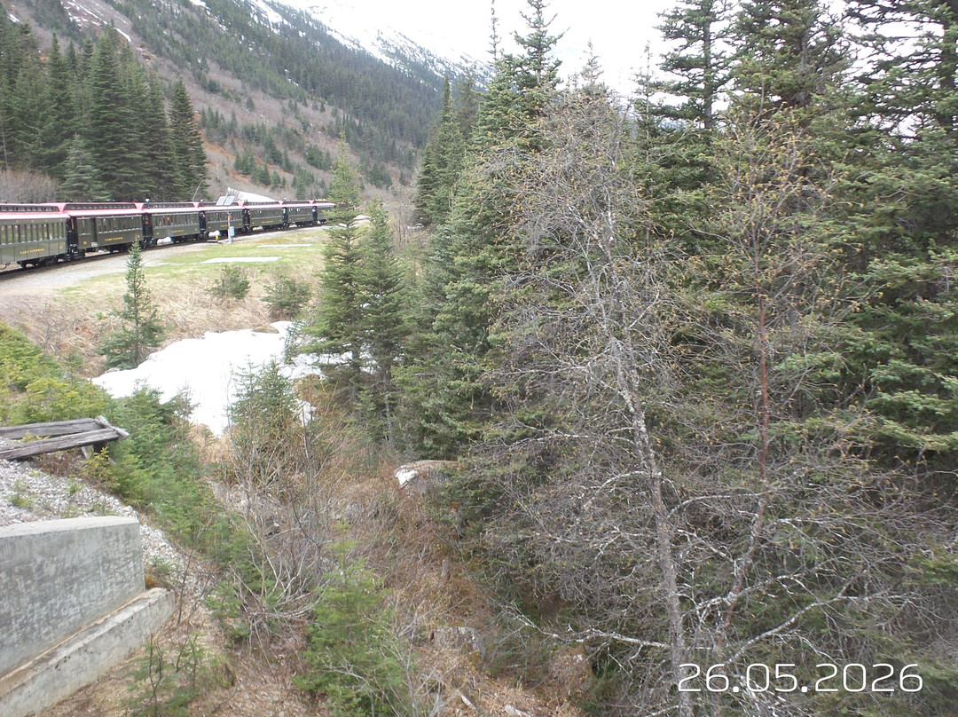 White Pass & Yukon Railway-Carcross必去景点