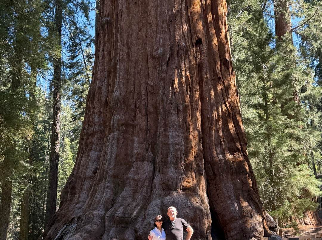 Sequoia National Park-维塞利亚必去景点