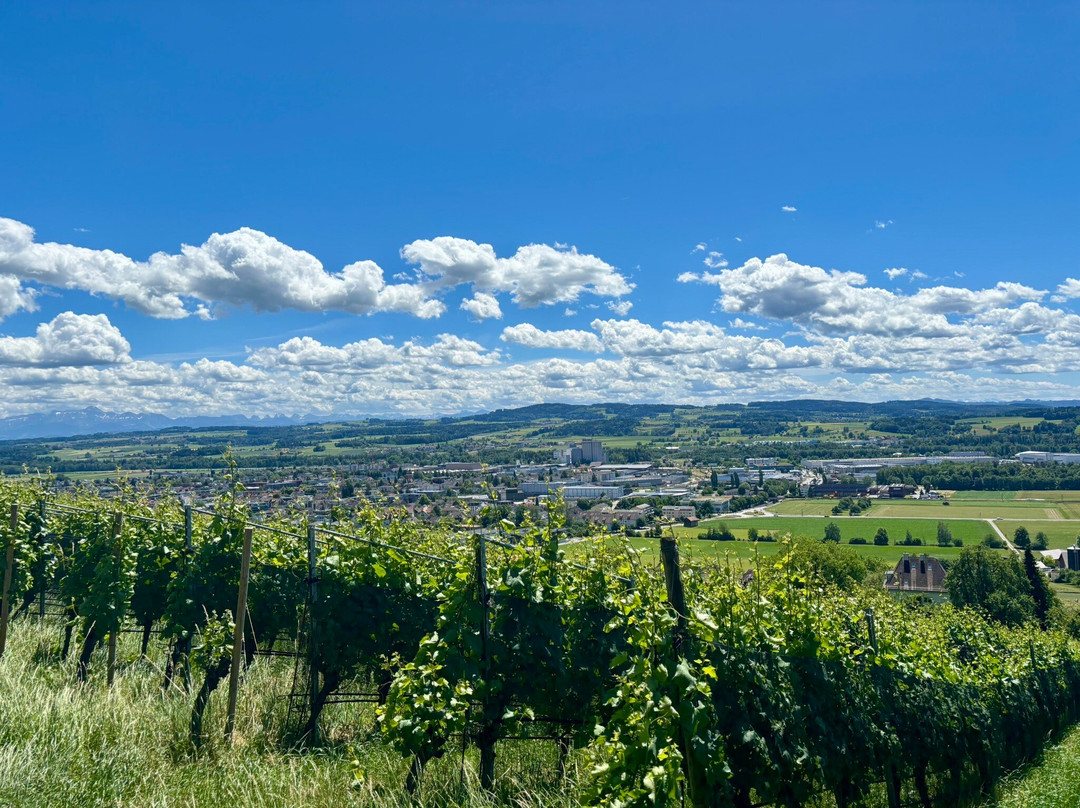 Wein-Wanderweg Weinfelden-Weinfelden必去景点