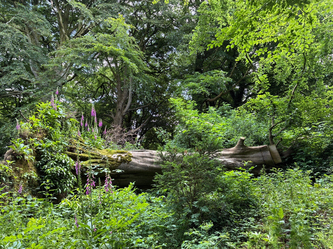Benvarden Gardens-Antrim必去景点