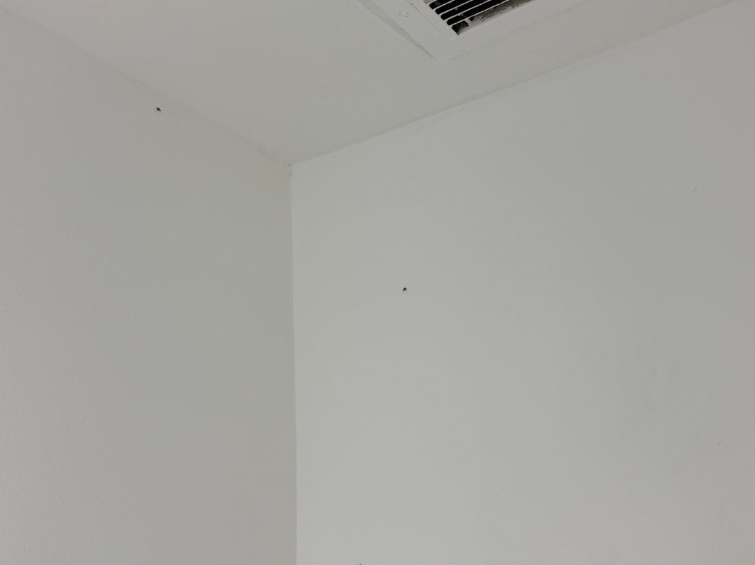 特皮克尼基 NK 酒店主图