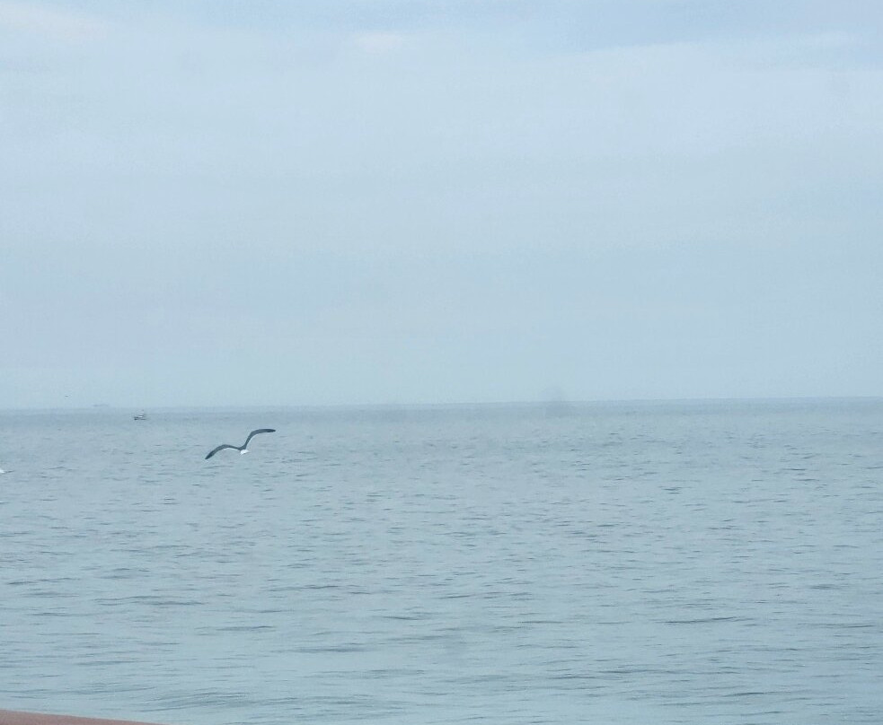 Cape May - Lewes Ferry-刘易斯必去景点