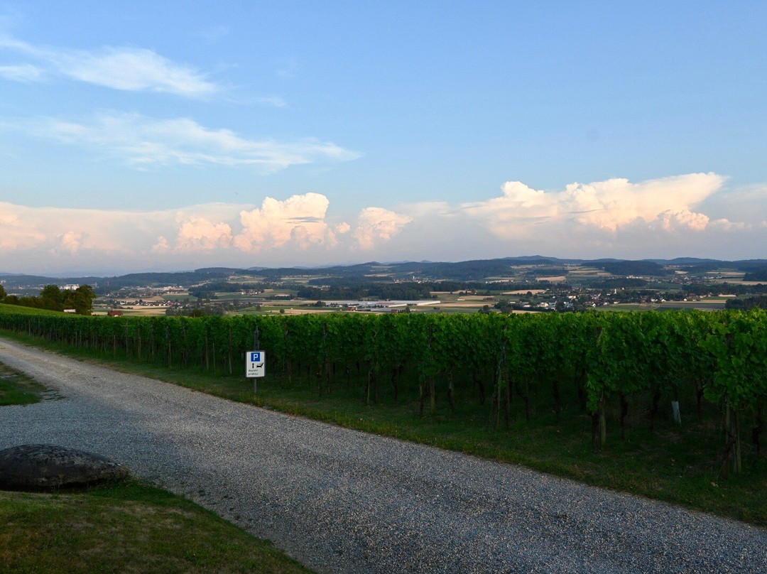 Weingut Hausammann-Uesslingen-Buch必去景点
