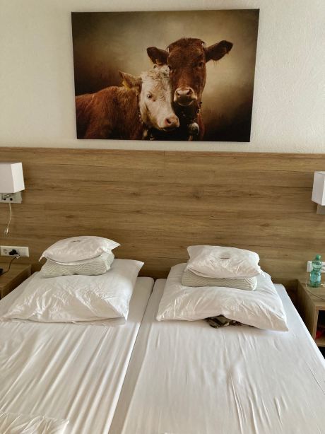 Hotel Steiglehof-旅行者