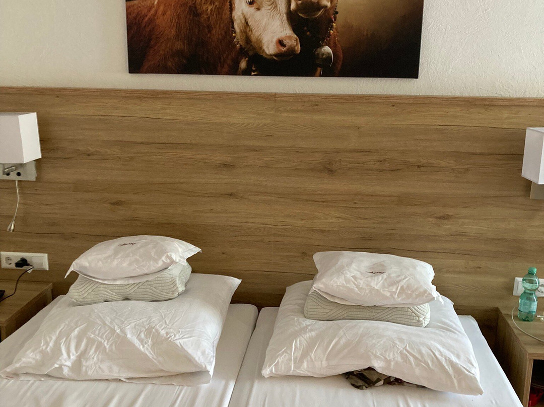 Hotel Steiglehof主图