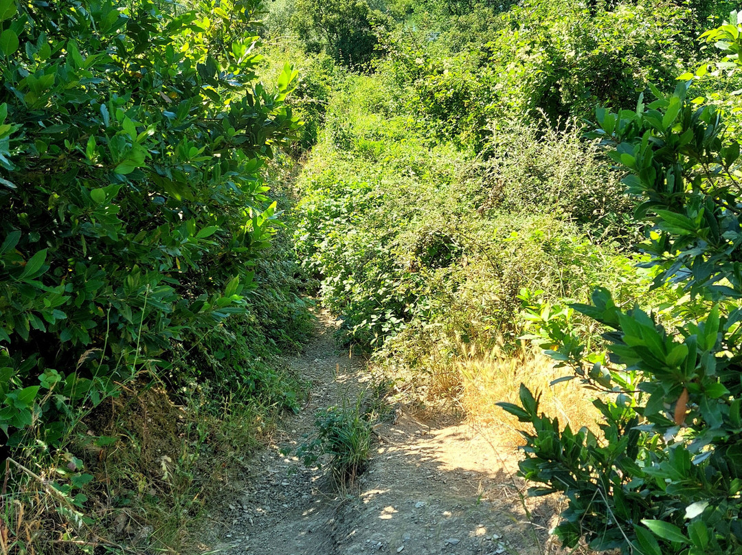 Lago di Bilancino-巴尔贝里诺迪穆杰洛必去景点
