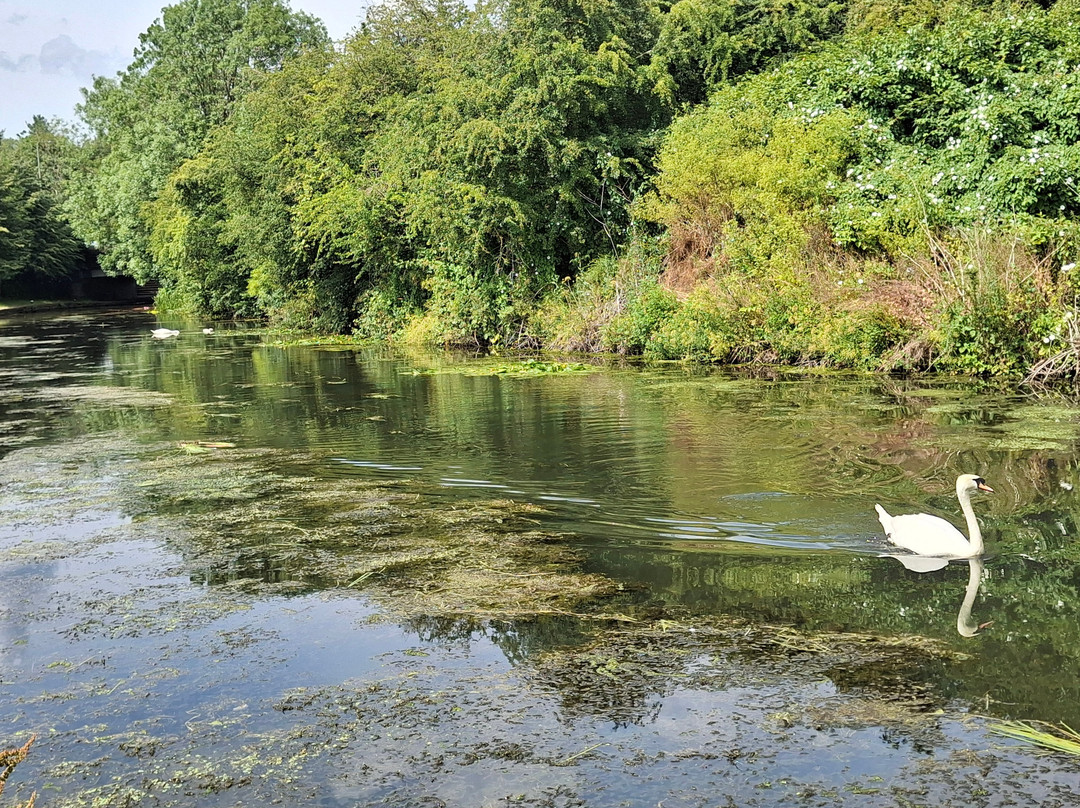 Erewash Canal-Langley Mill必去景点