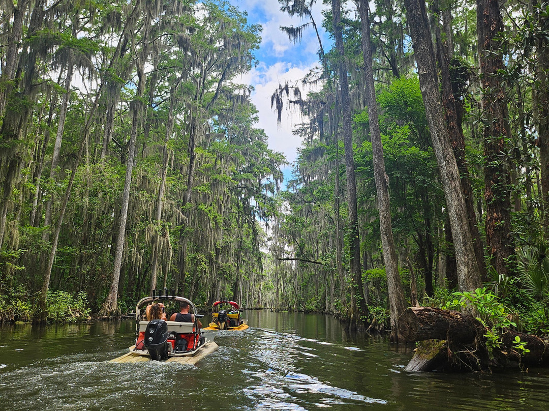 CatBoat Adventure Tours-Mount Dora必去景点