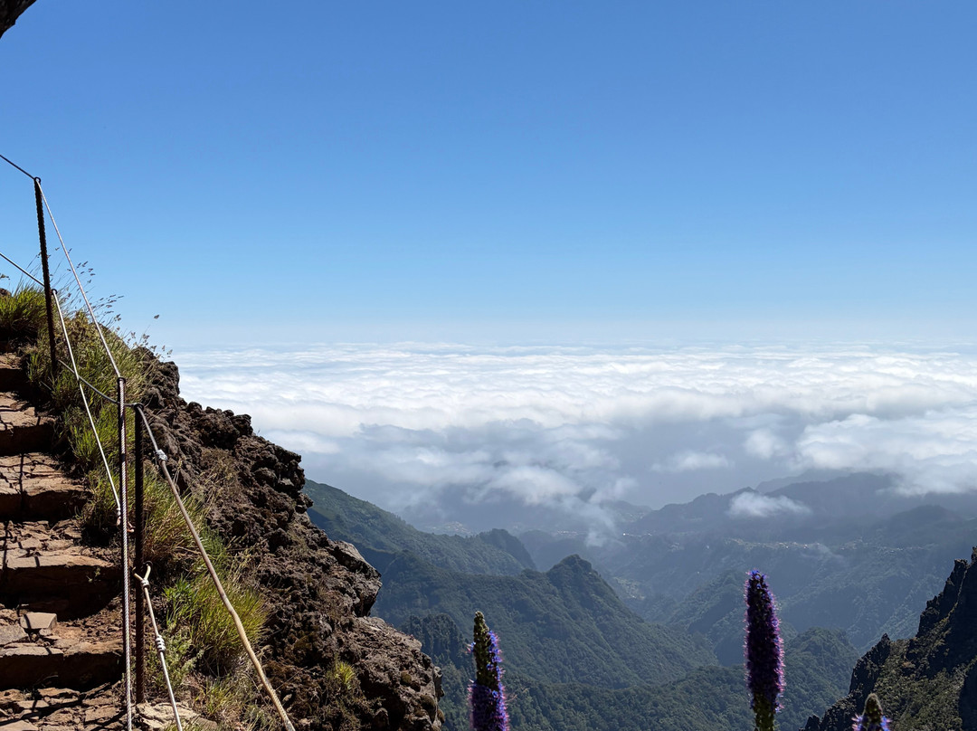 Pico do Arieiro-沙尔必去景点