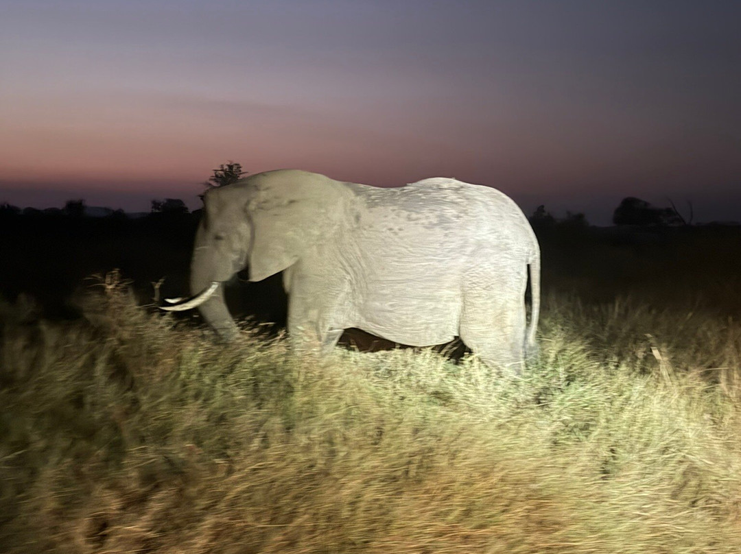 Ates Africa - Tours & Safaris-开普敦中心区必去景点