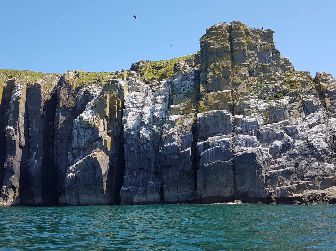 Saundersfoot Sea Safari-桑德斯富特必去景点