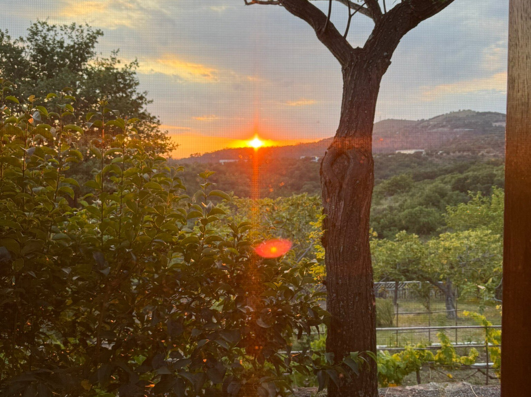 Vigreen Trattoria Rurale