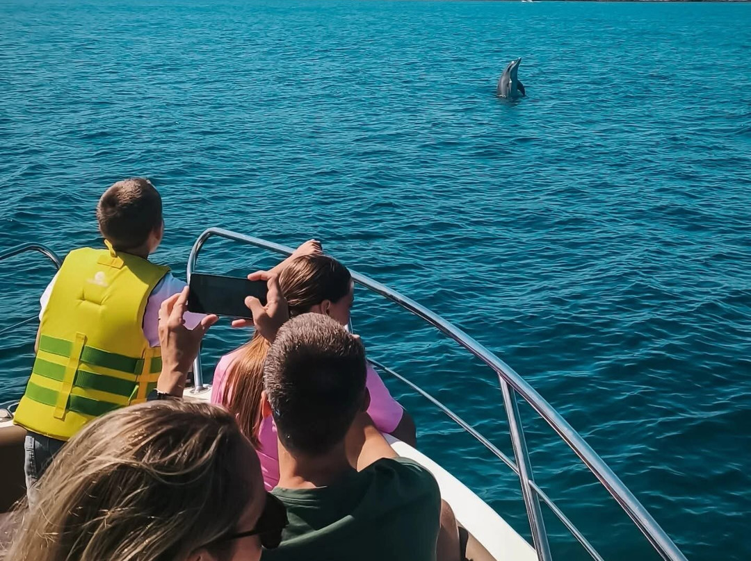 Dolphin Tours Istria-冯塔纳必去景点