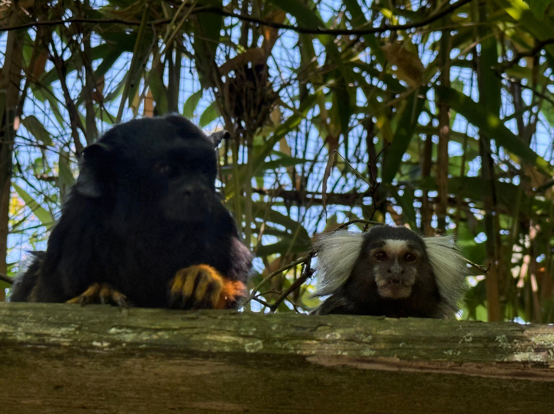 Parc Animalier Des Pyrénées-Ayzac-Ost必去景点
