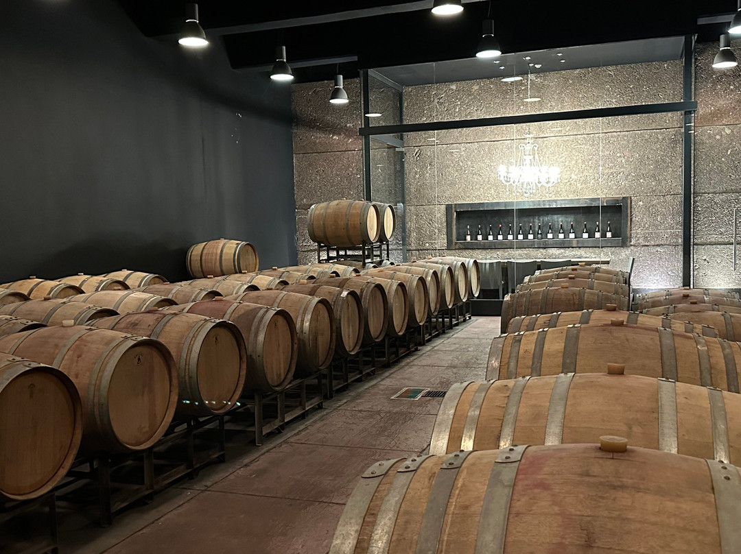 Solo Contigo Wines-Los Sauces必去景点