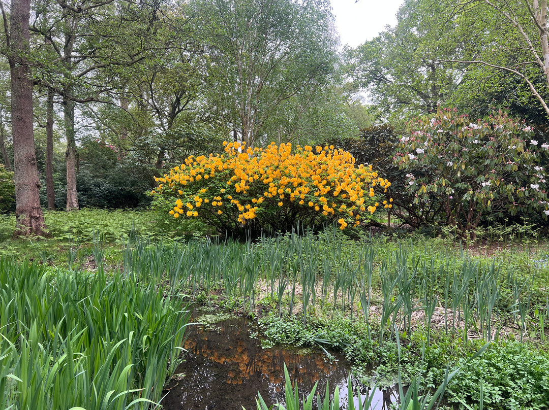 Hoveton Hall Gardens-诺威奇必去景点