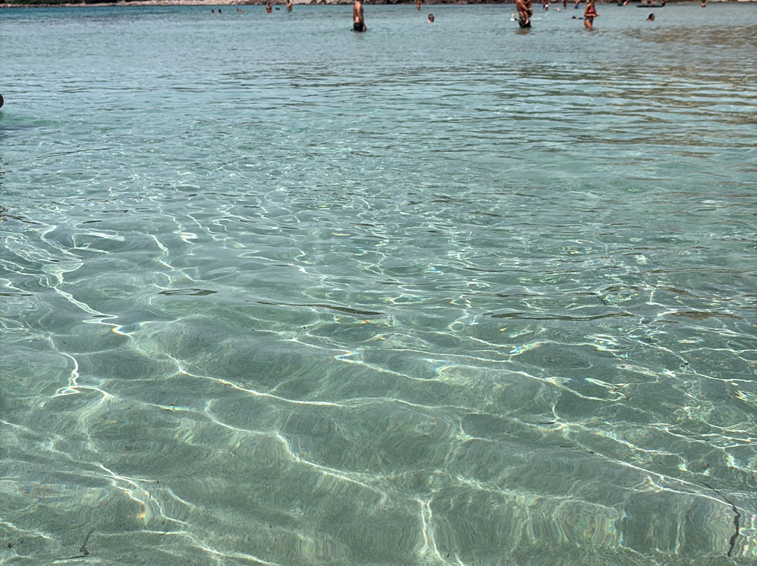 Spiaggia La Caletta-Carloforte必去景点