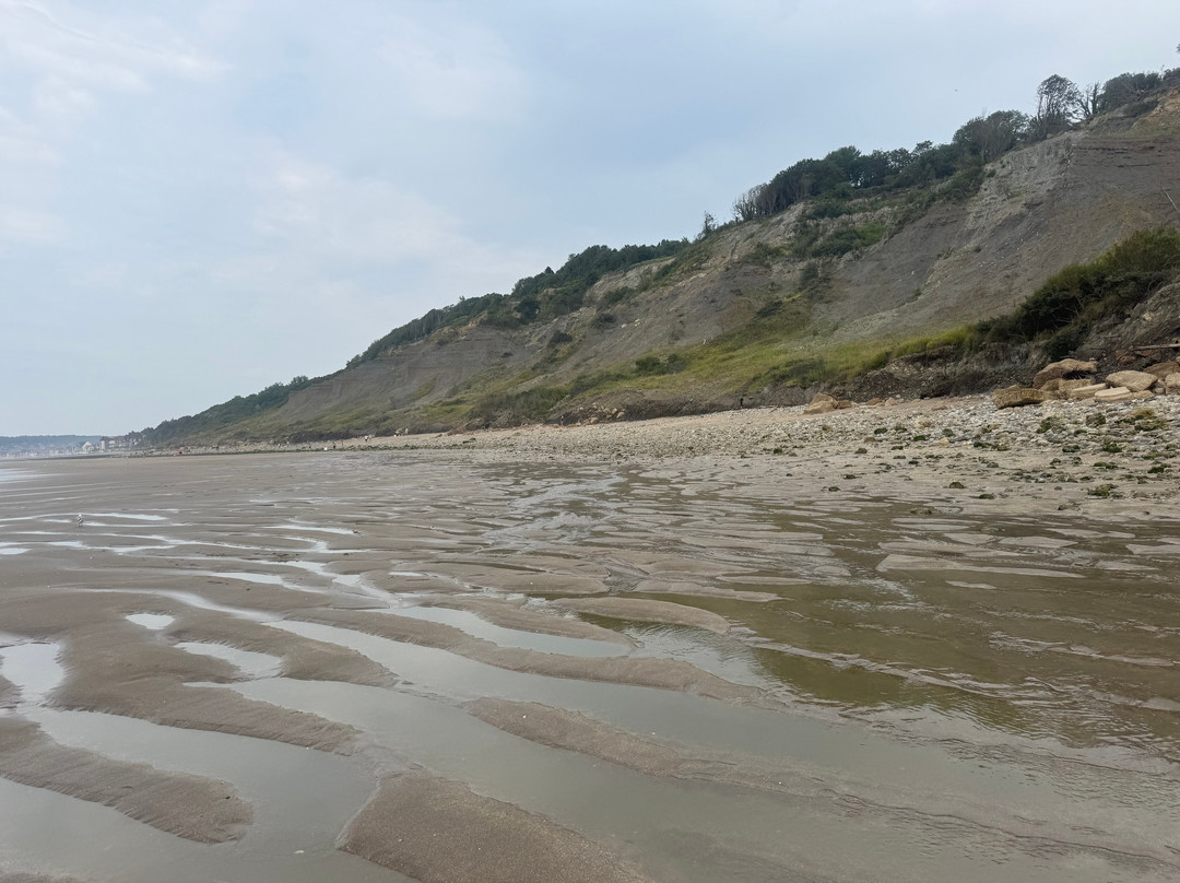 Vaches Noires Cliffs-Villers-sur-Mer必去景点