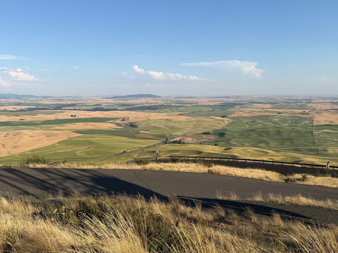 Steptoe Butte State Park-Colfax必去景点