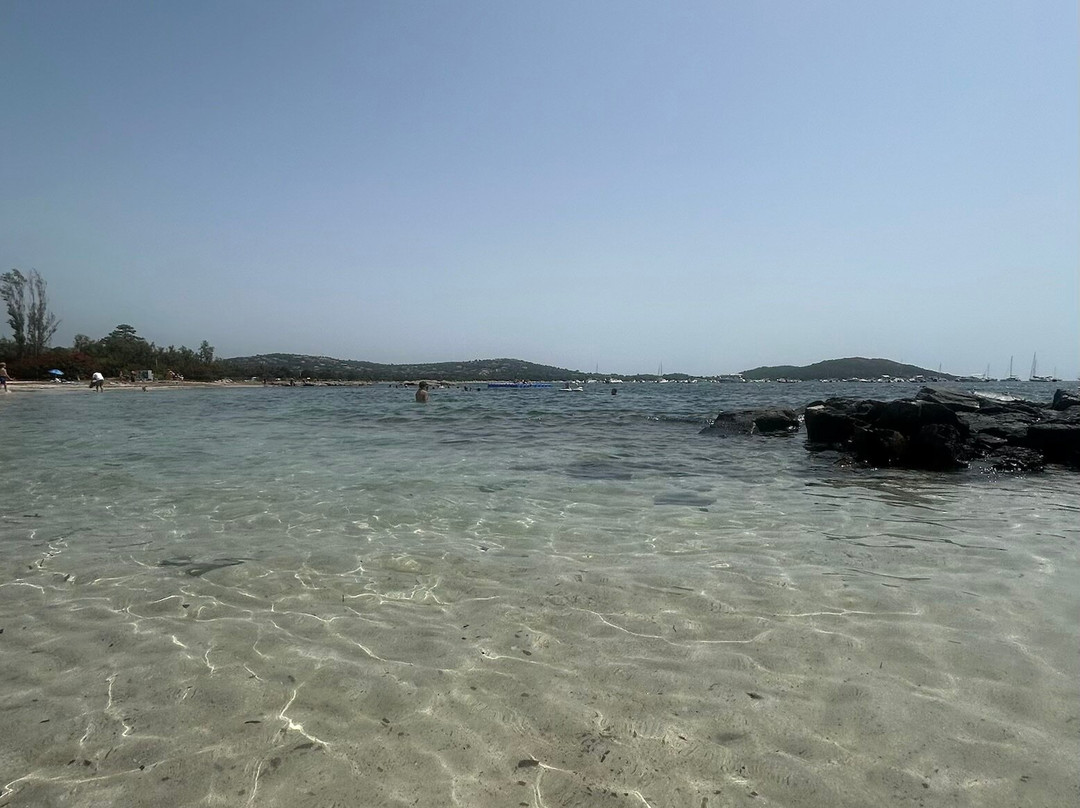 Plage Saint-Cyprien-维琪奥港必去景点