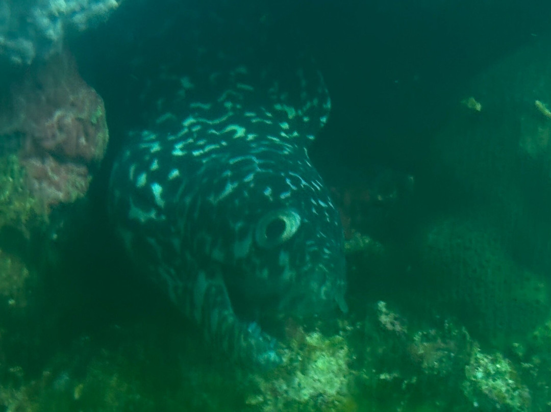 JADS Dive Center-San Nicolas必去景点