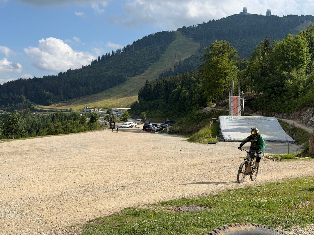 Bikepark Arber