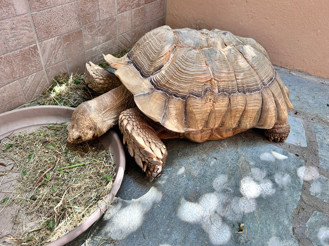 Aquaworld Aquarium & Reptile Rescue Centre-赫索尼索斯必去景点